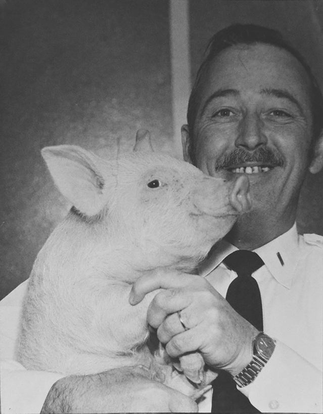 Ed Boston 72