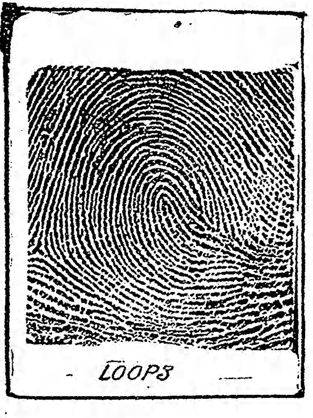 The Baltimore Sun Sun Jan 28 1912 loops1