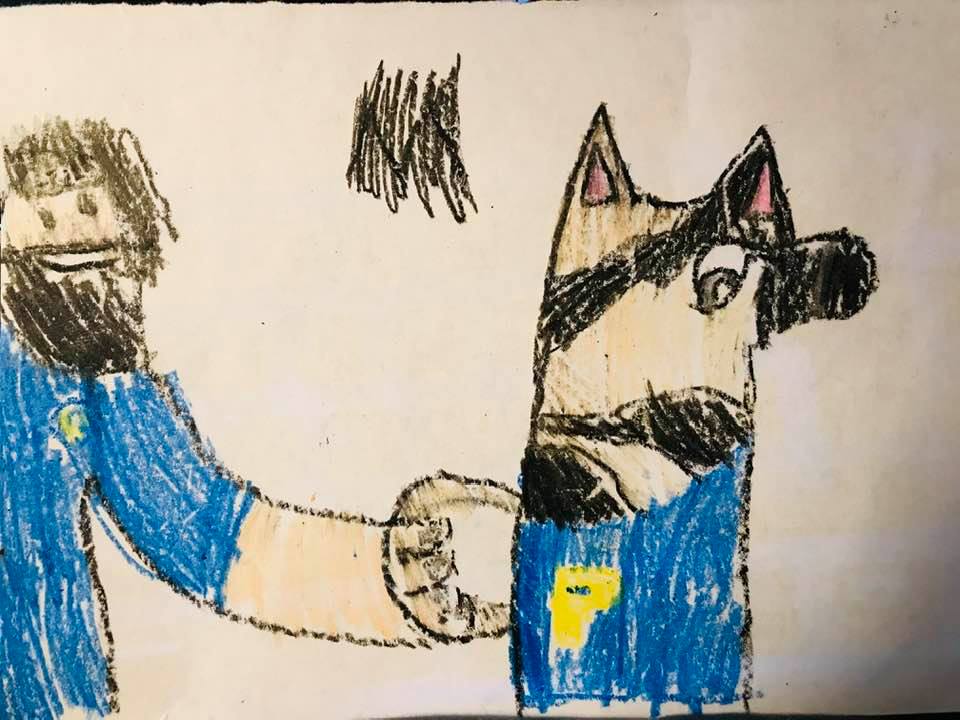 Cam art