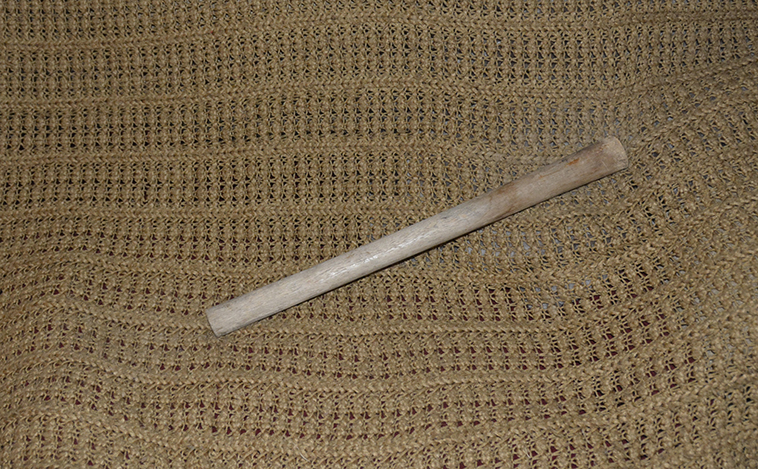 DSC5219