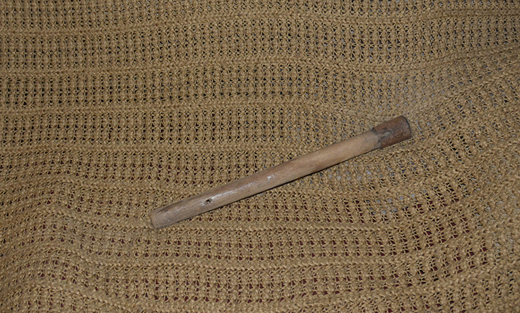 DSC5225