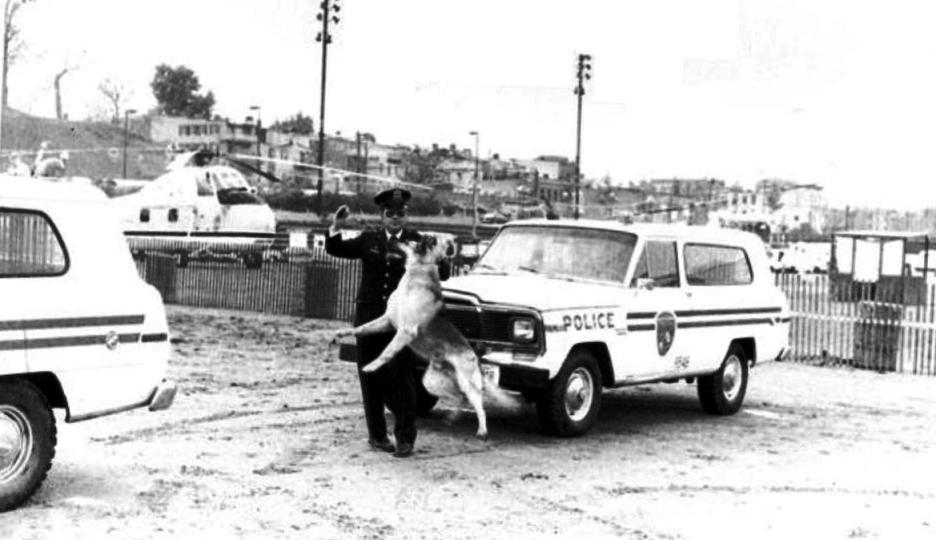George Parsons K9 Jeep
