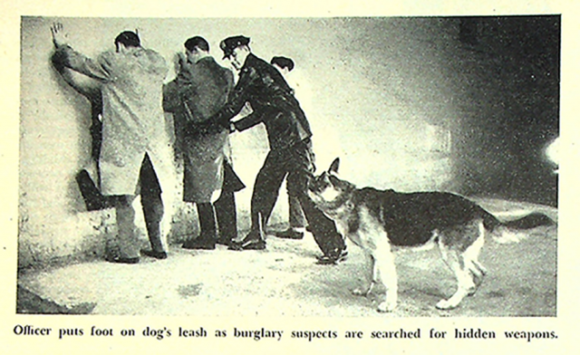 K 9 672