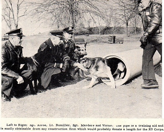 k9 4