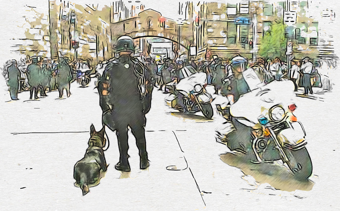 k9 watercolor banner