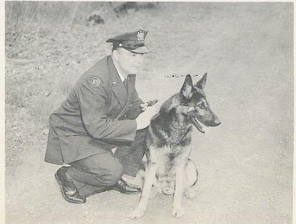 k9marders