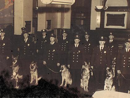 k9rollcall