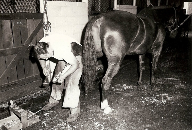 mounted 3 72