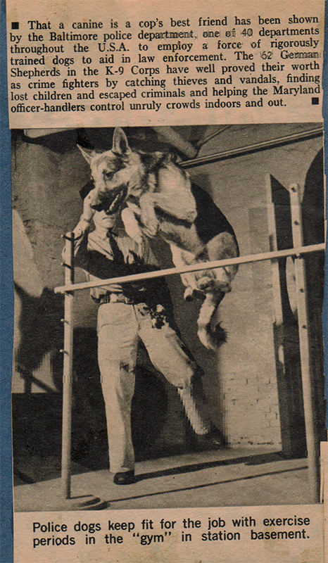 K9 hard at work 4