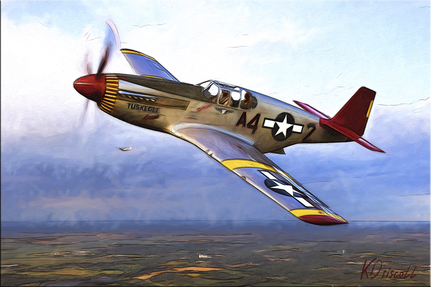 P51 by Max Haynes